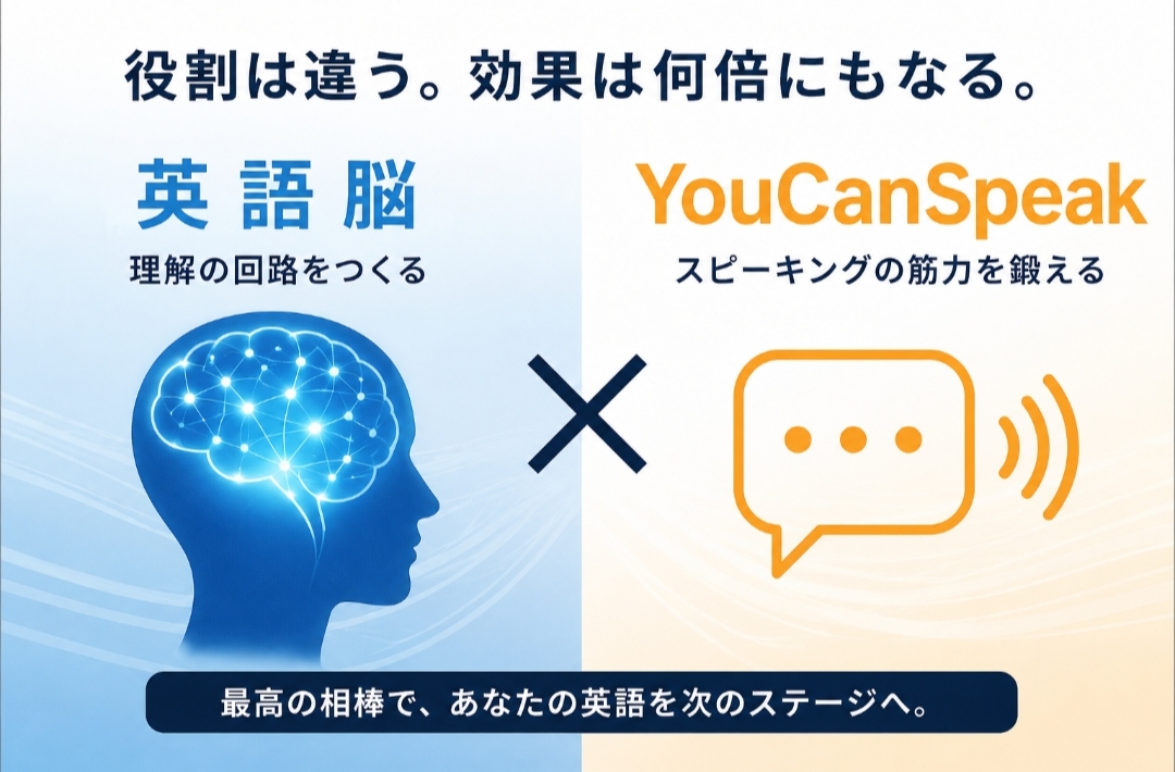 英語脳とYouCanSpeakの役割の違いを図解。英語脳は理解の回路を作り、YouCanSpeakはスピーキングの筋力を鍛えることを示した比較イメージ。